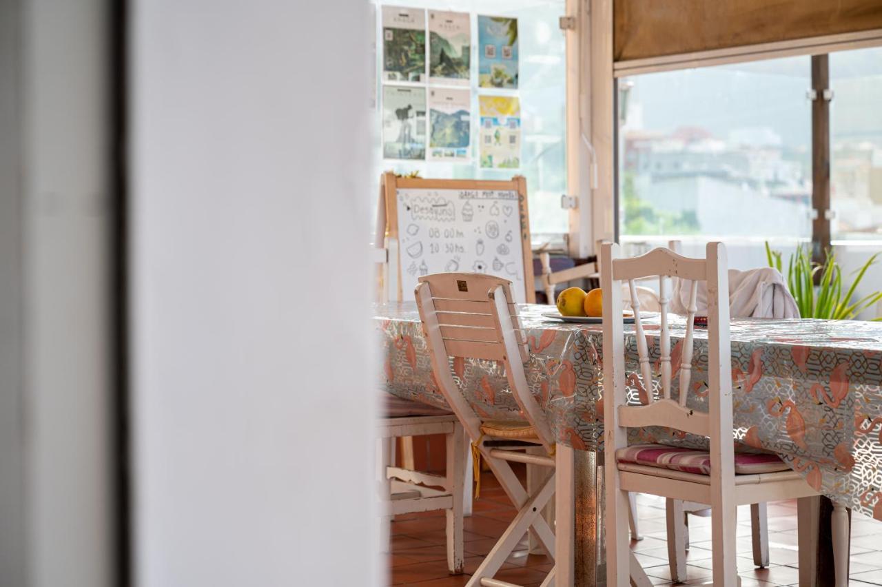 Drago Hostel Icod De Los Vinos Εξωτερικό φωτογραφία