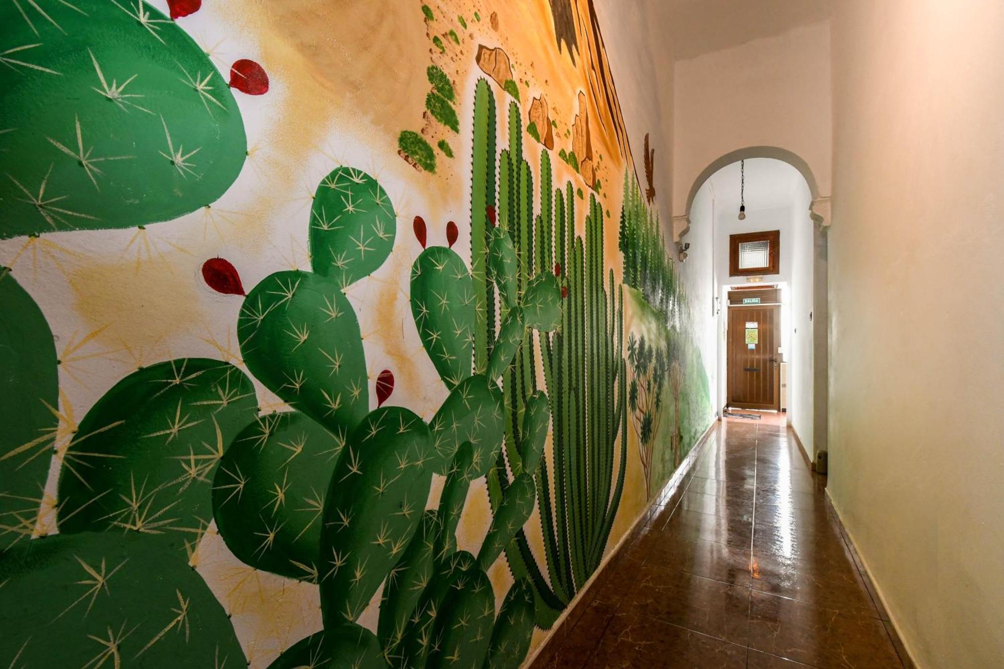 Drago Hostel Icod De Los Vinos Εξωτερικό φωτογραφία